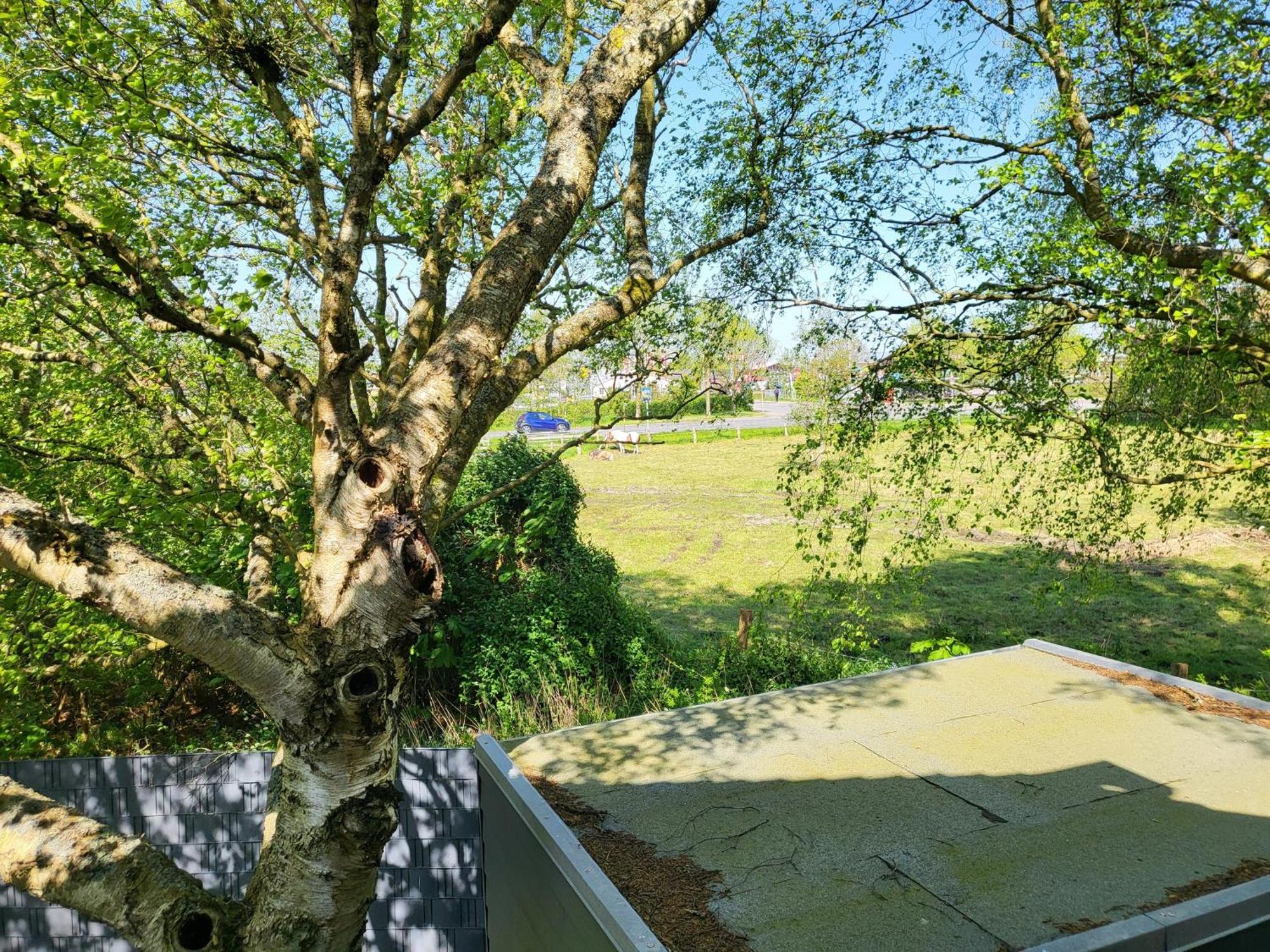 Ferienhaus Dhh "Unsere Zweite Heimat" Links Sankt Peter-Ording Extérieur photo